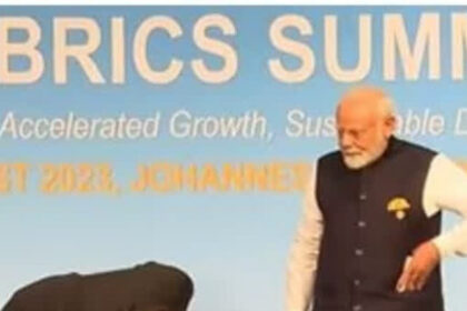 Brics summit (3)