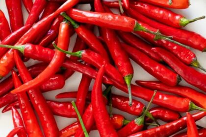 Red chili is beneficial for the body