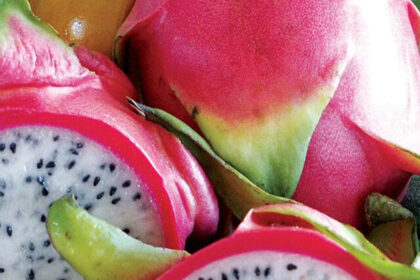 dragon-fruit