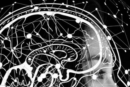 memory-will-be-powerful-include-these-things-in-diet (1)