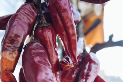 red-chili-is-beneficial-for-the-body