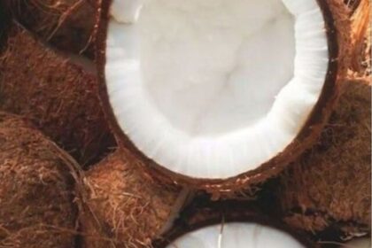 ways-to-use-coconut-oil-for-beauty (1)