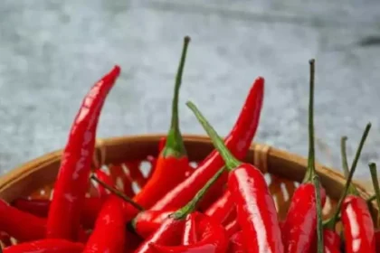 red-chillies-a-panacea-for-business-growth (9)