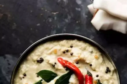 taste-of-food-with-this-chutney (1)