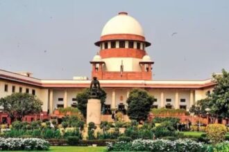 High Court