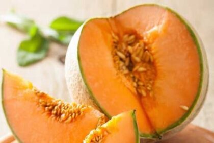muskmelon-seeds-benefits (1)