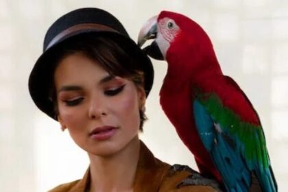 parrot (1)