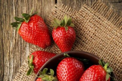 estrogen-rich-foods (1)