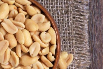 handful-of-peanuts-can-help-improve-health (1)