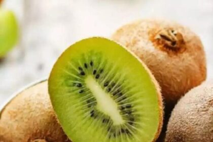 kiwi-in-a-day-these-5-benefits (2)