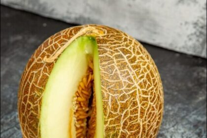 most-expensive-melon