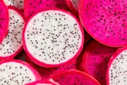 dragon-fruit (4)