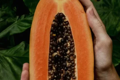 Reduce-the-risk-of-cancer