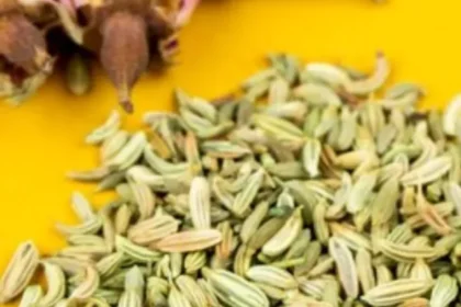 fennel-seeds-and-saunf-for-good-health