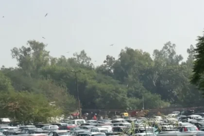 Car-Parking-8