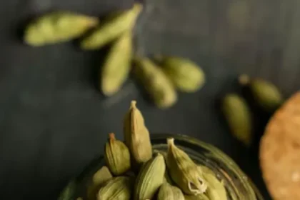 Cardamom
