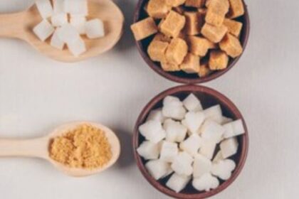 Sugar-Free-Diet
