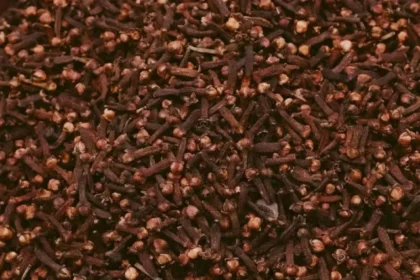 benefits-of-keeping-clove-in-mouth
