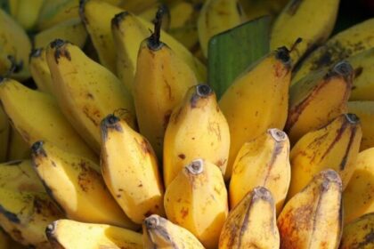 disadvantages-of-eating-bananas