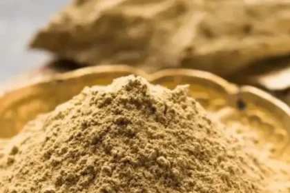 multani-mitti-face-pack-in-hindi