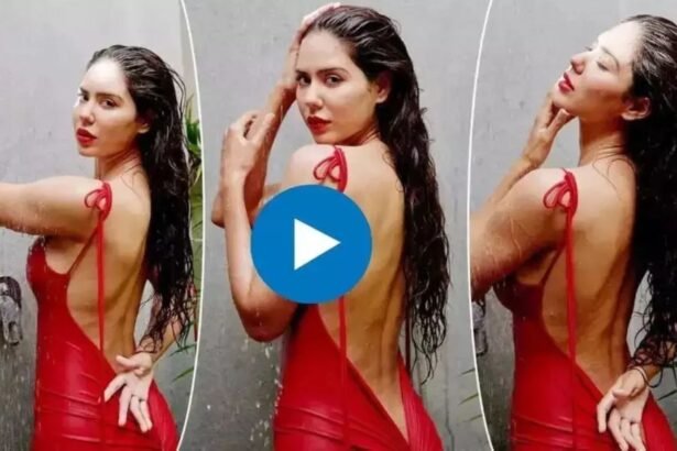 Sonam Bajwa