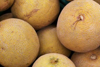 Is-it-good-to-eat-muskmelon-seeds