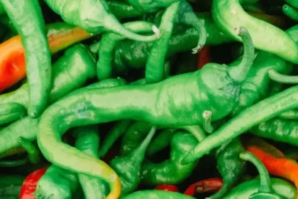 green-chilli-vs-red-chilli-5
