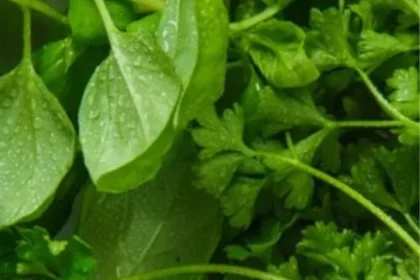 green-leafy
