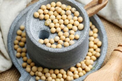 protein-foods-5