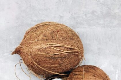 why-coconut-is-not-allowed-in-flight