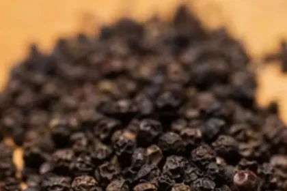 black-pepper-
