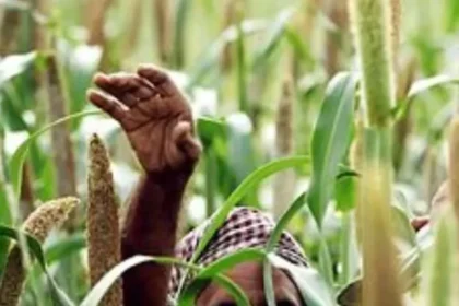 farmers-10