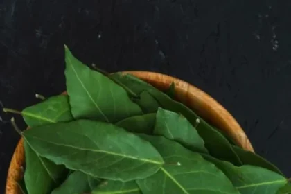 Neem-Juice