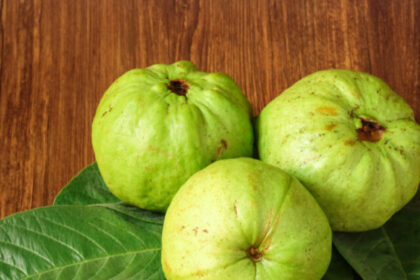Crystal,Guava,(psidium,Guajava),Is,A,Guava,Variety,That,Is