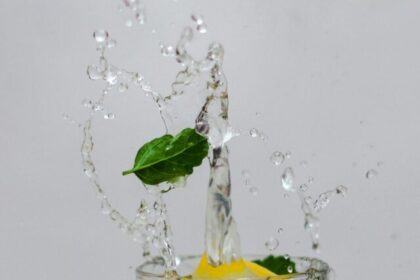 bb4c1568240630b0a7cbccc53551609917271625688061095_0