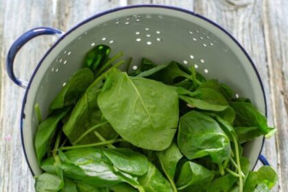 spinach-benefits-864x1536